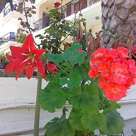 Hotel Aggeliki Lefkáda